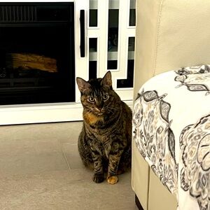 Meet your Posher, Raluca